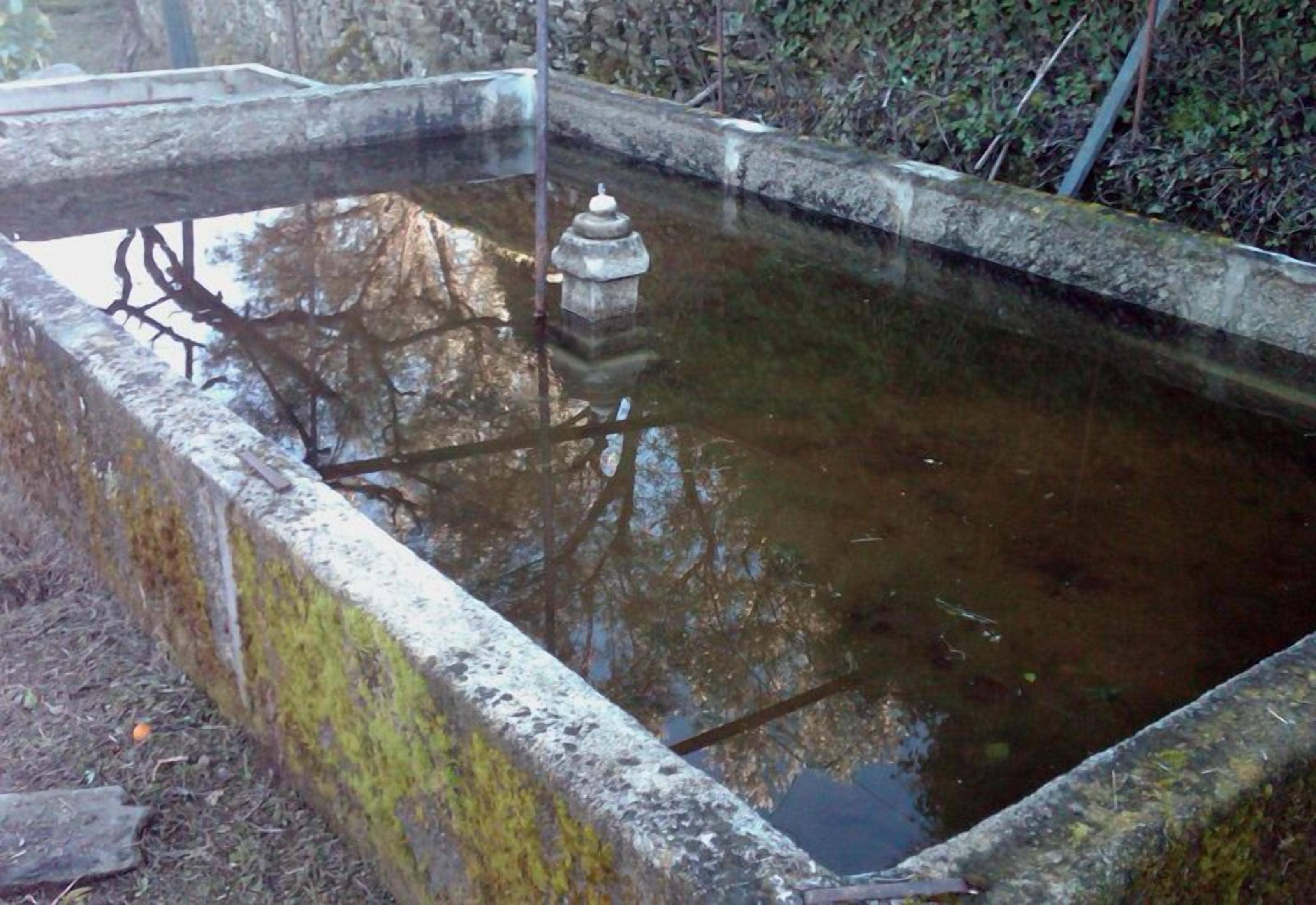 Ein rechteckiger Steinpool mit einer Fontäne in der Mitte, umgeben von einer Steinmauer und Bepflanzung.
