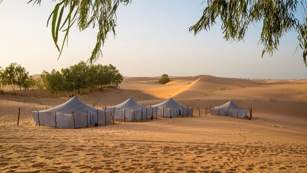 A desert landscape with tents and sparse vegetation. - Ecolodge de Lompoul (Lompoul)
