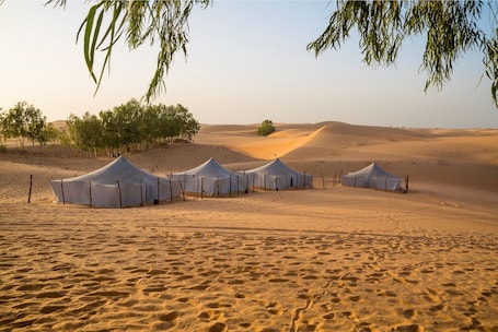 Egyptian cotton sheets, Tempur-Pedic beds, desk, free WiFi. Ecolodge de Lompoul