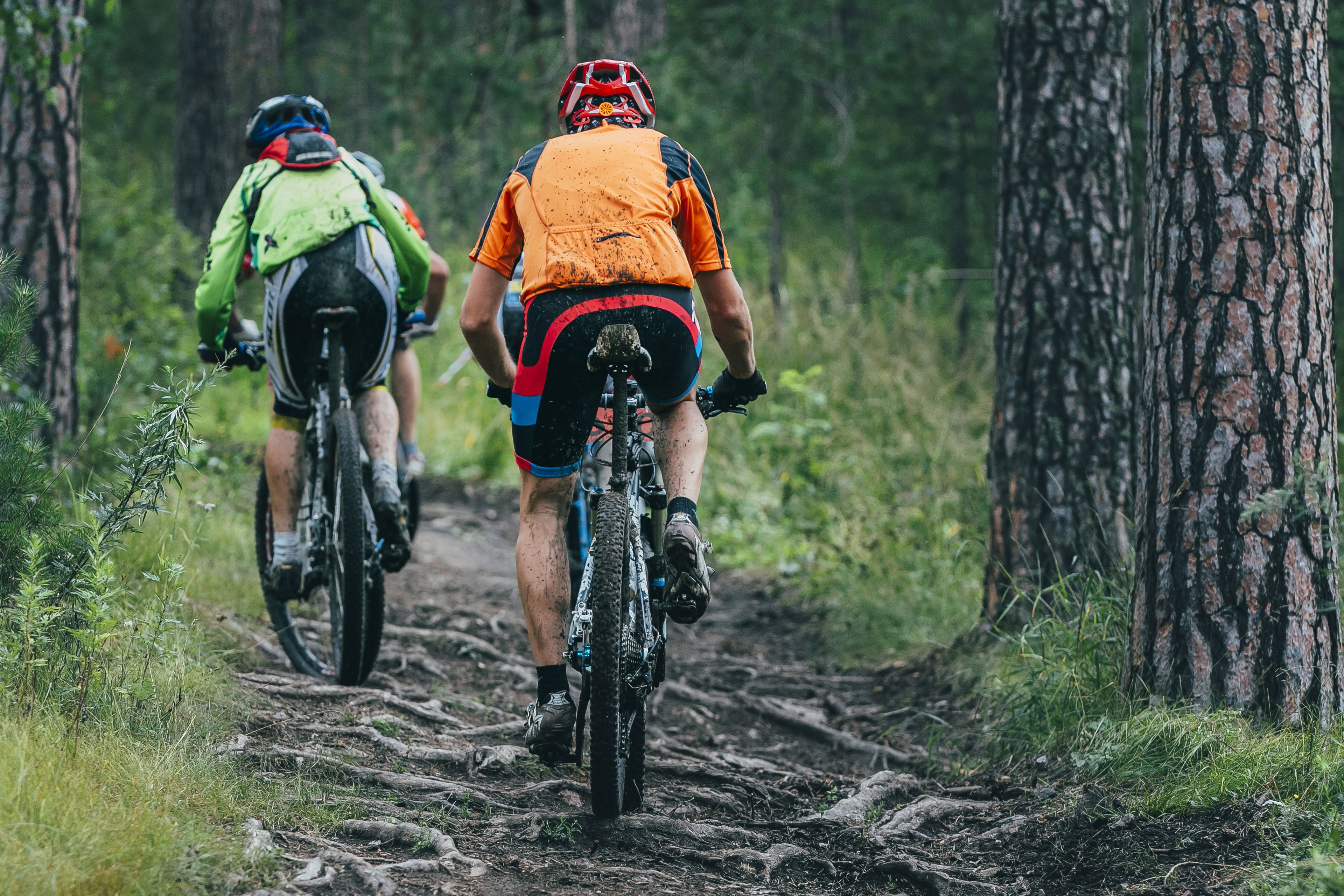 Dos ciclistas de montaña en un sendero de tierra rodeados de árboles.