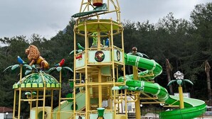 A playground with a lion, birds, and a green slide. - Telmessos Neva Hotel - Halal-Non Alcoholic  Hotel (Fethiye)