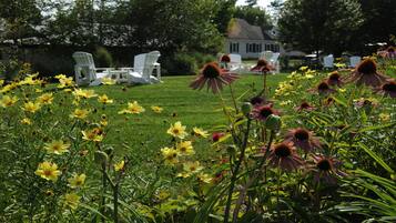 Un jardín con flores amarillas y césped. Hay sillas blancas y una casa al fondo.