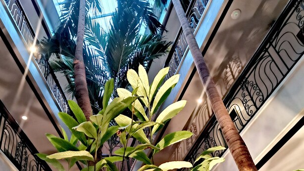 A multi-level atrium with a central water feature surrounded by rocks and plants, including palm trees and a large leafy plant. - Casa Leticia Business Inn (Davao)