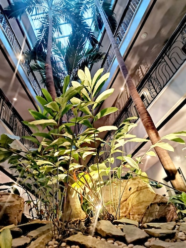 Casa Leticia Business Inn