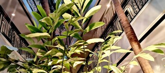 Casa Leticia Business Inn