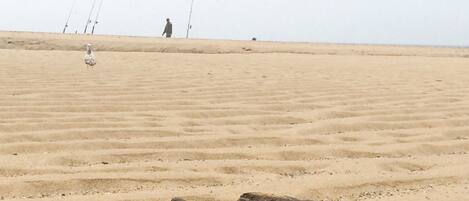 A sandy beach with a large piece of driftwood in the foreground.