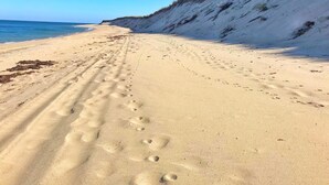 A sandy beach with footprints leading towards the ocean. - Inn at 7 Central (Provincetown)