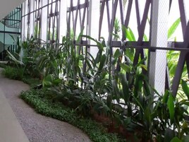 숙박 시설 구내