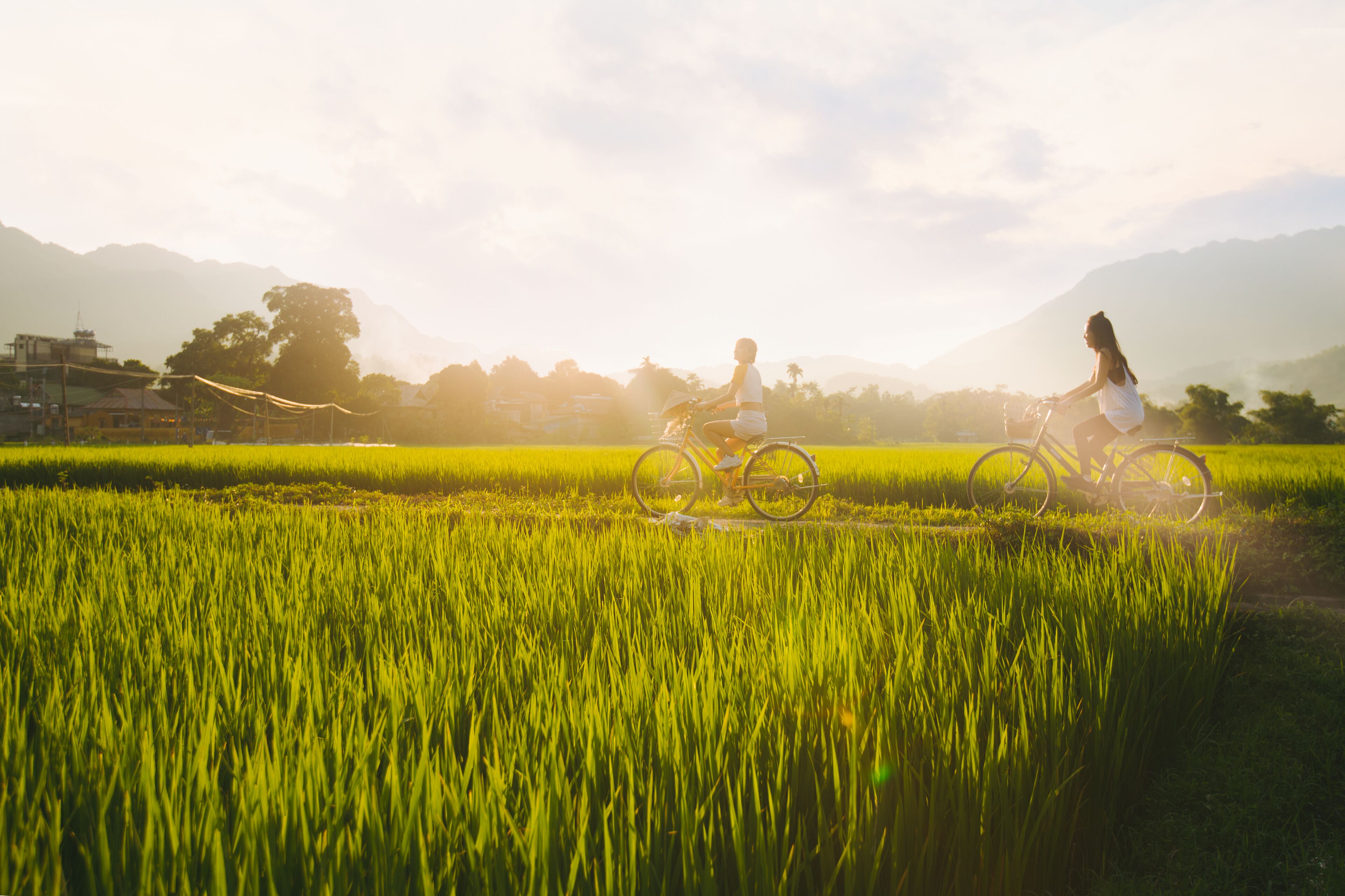 A person riding a bicycle in a lush green field with mountains in the background.
