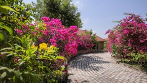 Un sendero adoquinado que conduce a un edificio con tejado de tejas rojas, rodeado de exuberante follaje y alegres flores rosadas.