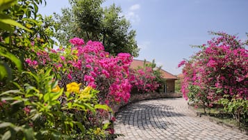 Entrada (vista interna)