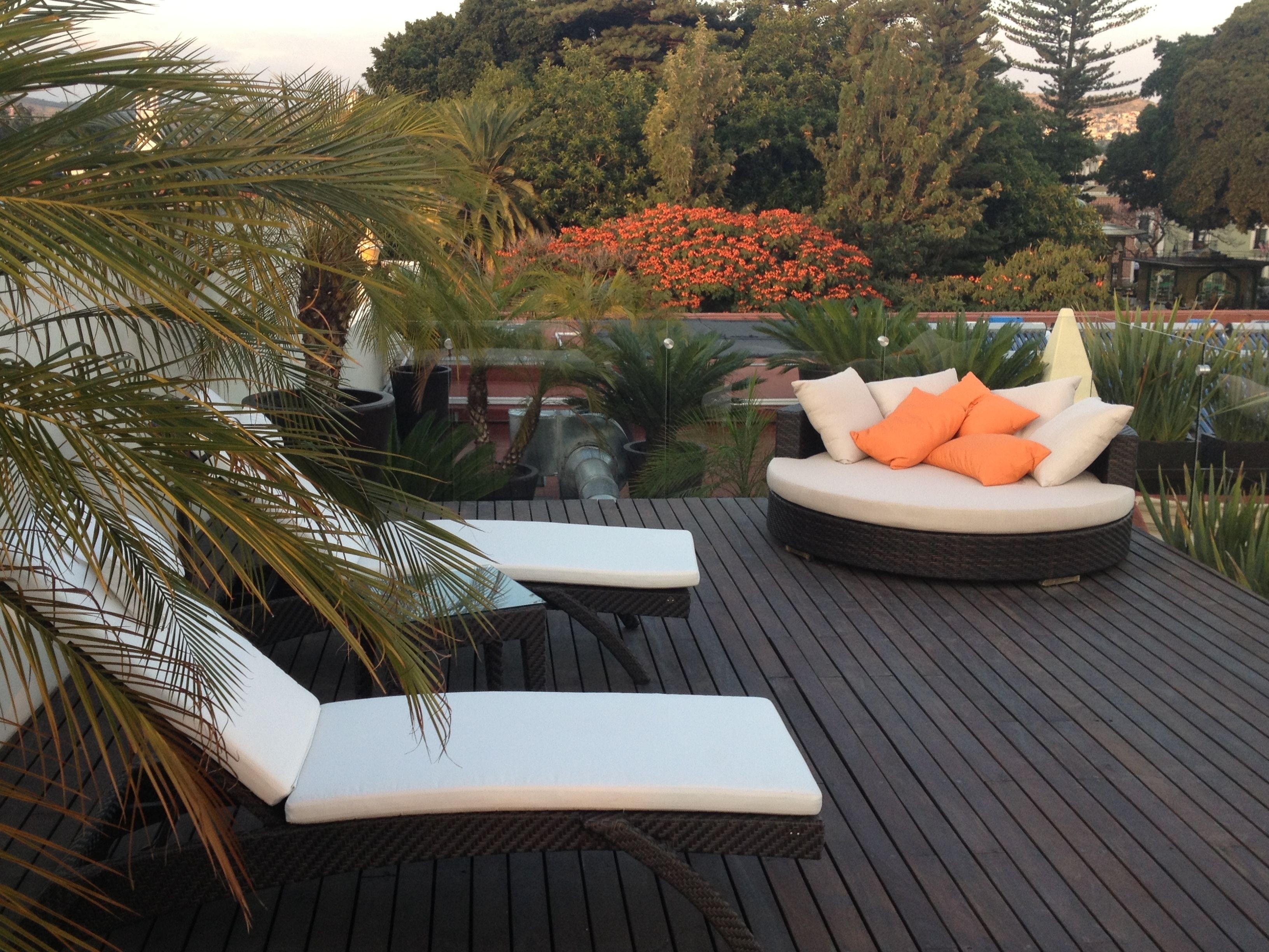 Una terraza en la azotea con un espacio de estar circular, sillas reclinables blancas y una variedad de plantas.