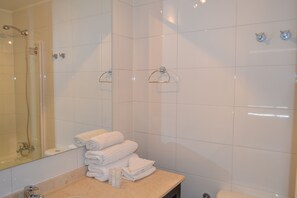 Ensemble douche/baignoire, sèche-cheveux, serviettes fournies
