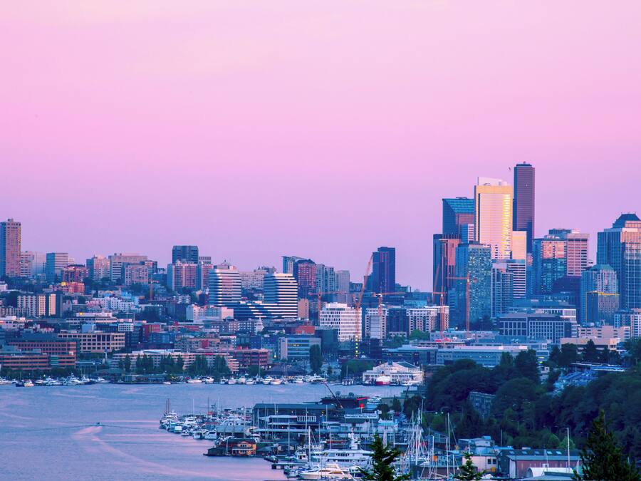 A city skyline with high-rise buildings, a marina with boats, and a body of water.