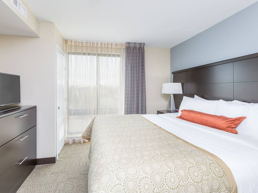 A hotel room with a large bed, a TV on a dresser, a nightstand with a lamp, and a window with sheer curtains.