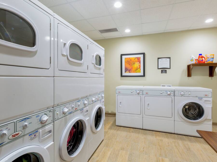 A laundry room with multiple washing machines and dryers, a framed artwork on the wall, and a shelf with laundry supplies.