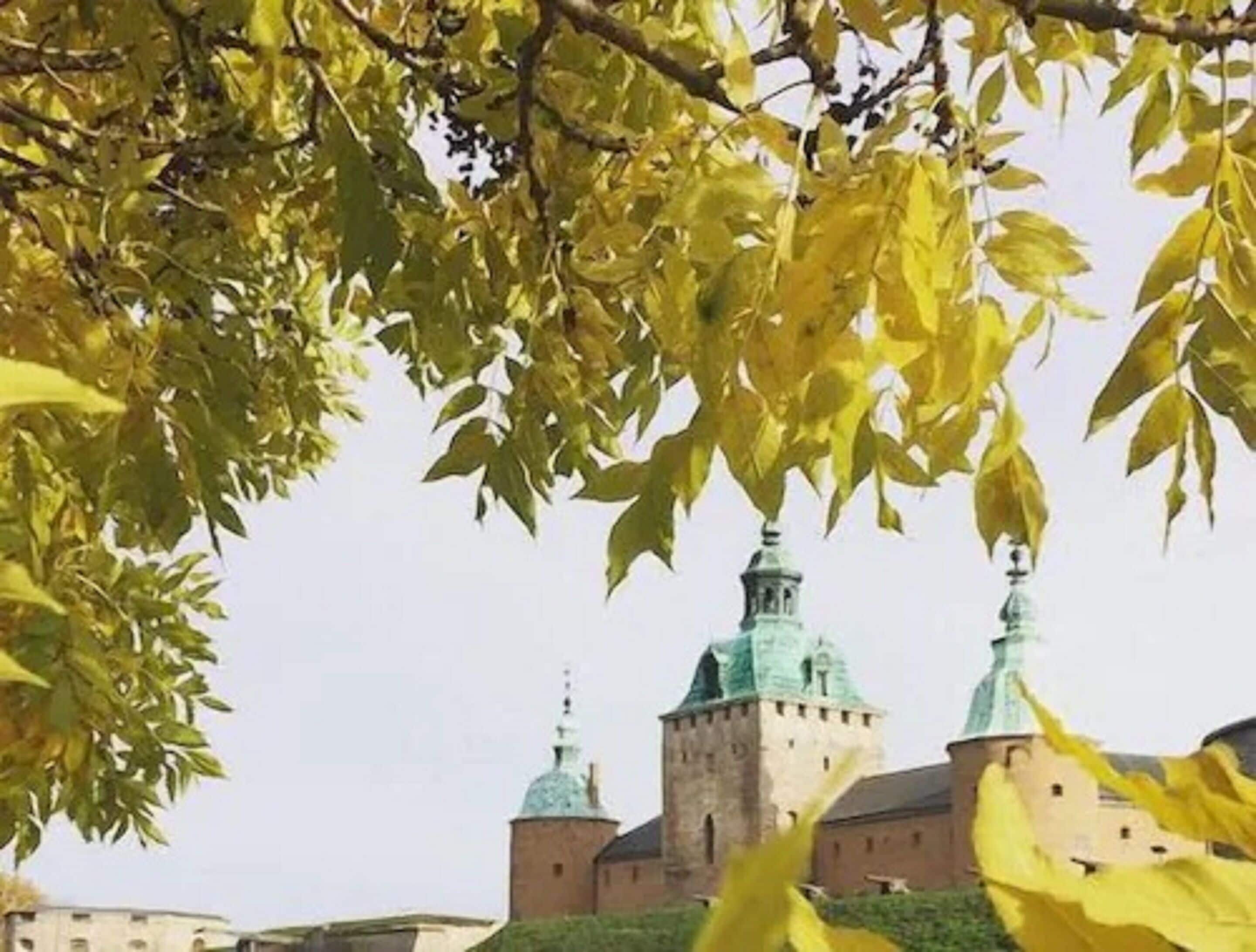 ropes course (team building)