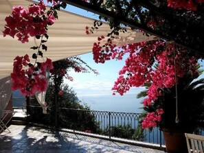 Terraço/pátio