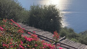 Vista costera con una escalera de madera que desciende hacia el mar, rodeada de vegetación exuberante y vibrantes flores rosadas.