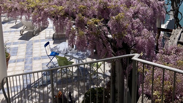 Una terraza con vista al mar, rodeada de árboles florecientes de color púrpura y mobiliario exterior.