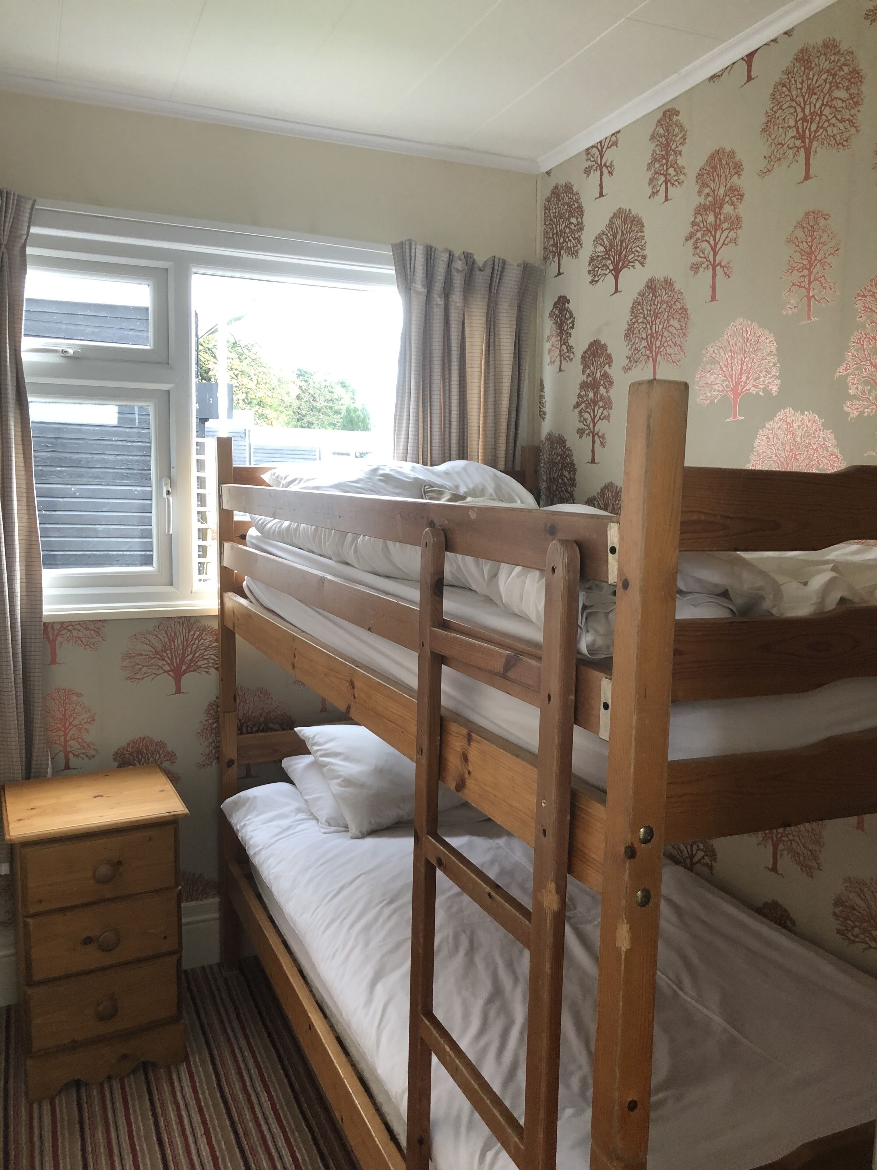 A bunk bed room with a window, curtains, a wooden nightstand, and a wall with tree patterns.
