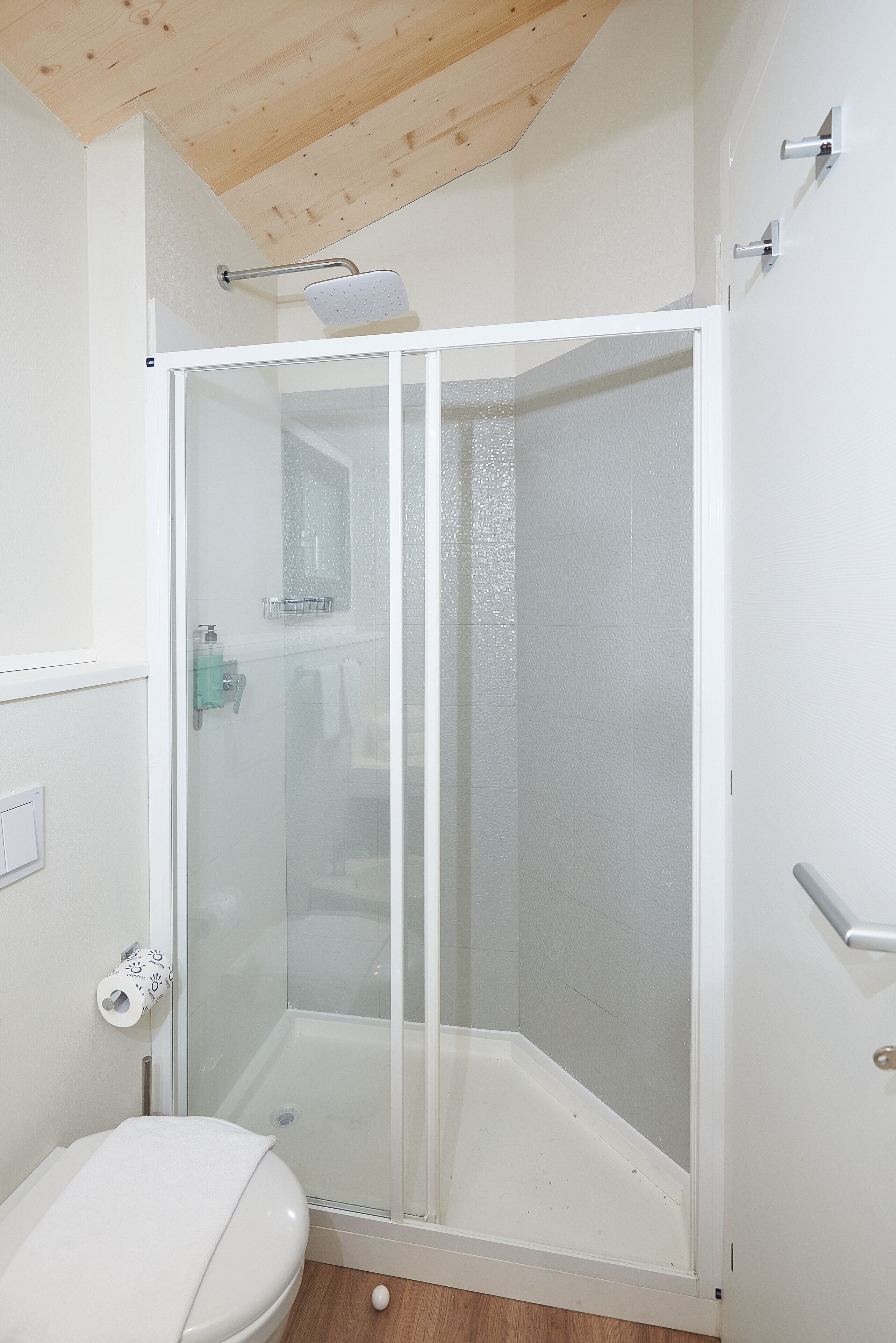 A modern bathroom with a glass-enclosed shower, a toilet, and a towel rack.