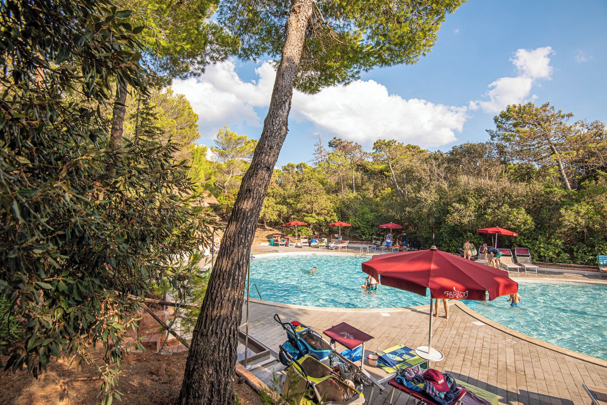 A pool area with lounge chairs and umbrellas, surrounded by trees.