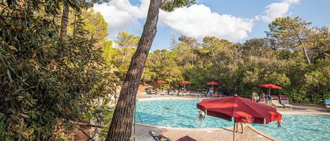 A pool area with lounge chairs and umbrellas, surrounded by trees.