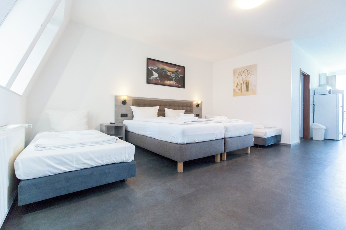 Ropa de cama de alta calidad, cubrecamas y colchones con pillow-top