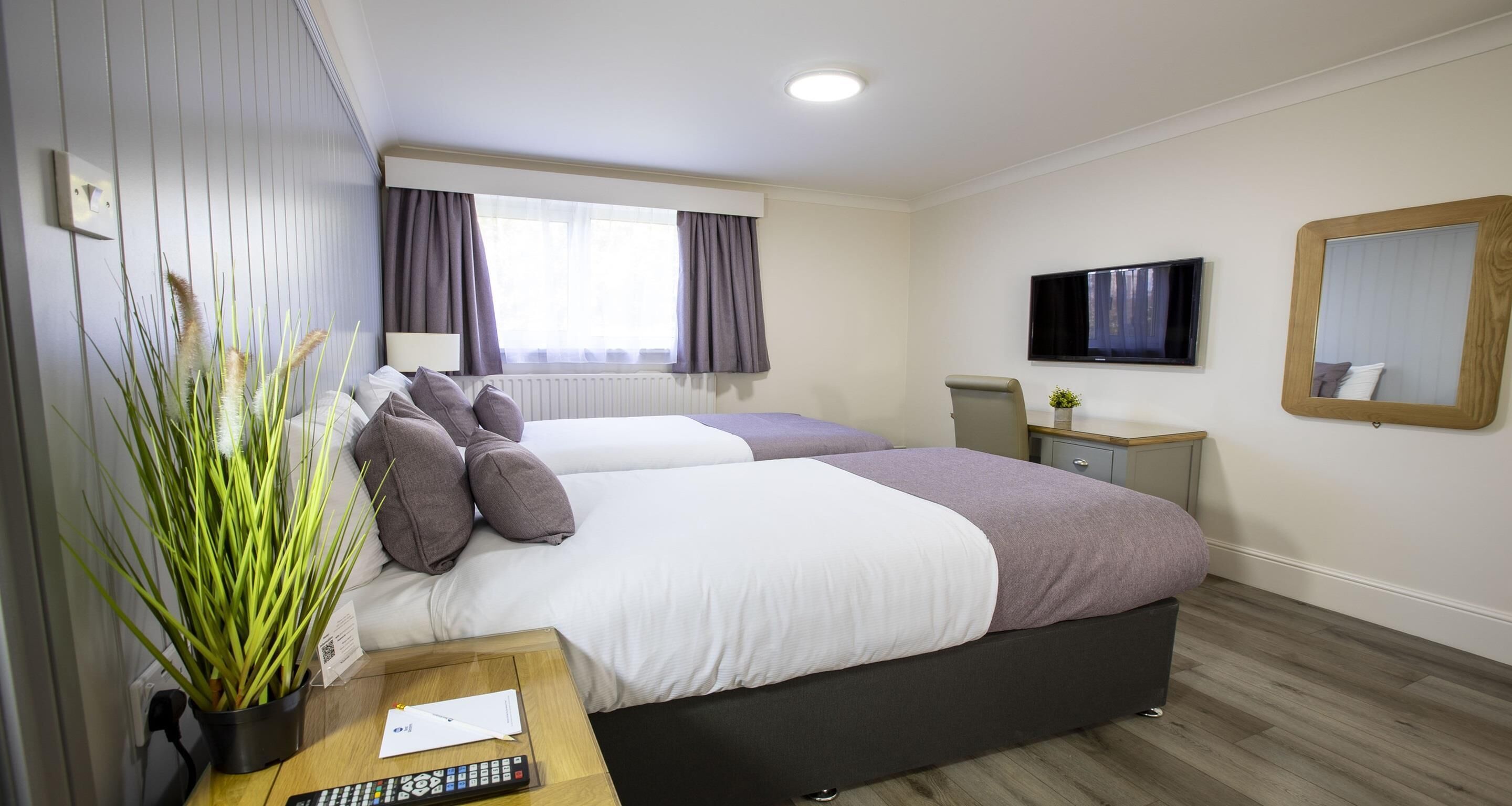 A hotel room with two beds, a TV, a mirror, and a plant.