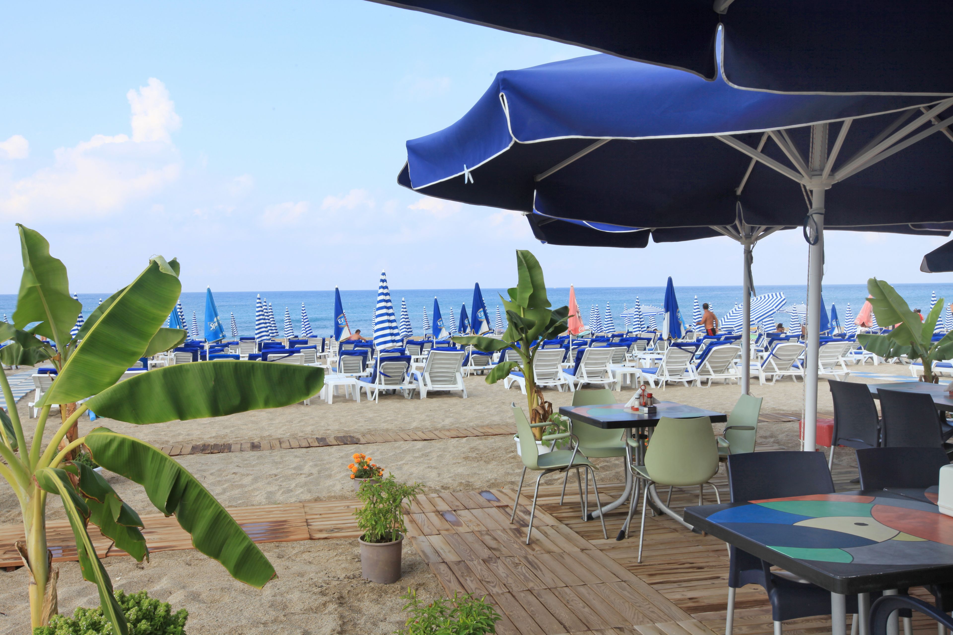 Sun loungers, beach umbrellas