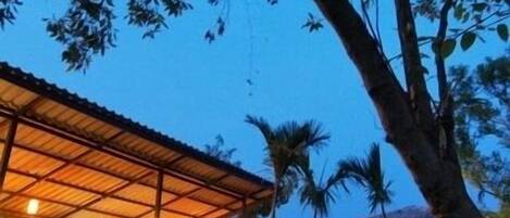 Morgunverður og hádegisverður í boði, taílensk matargerðarlist