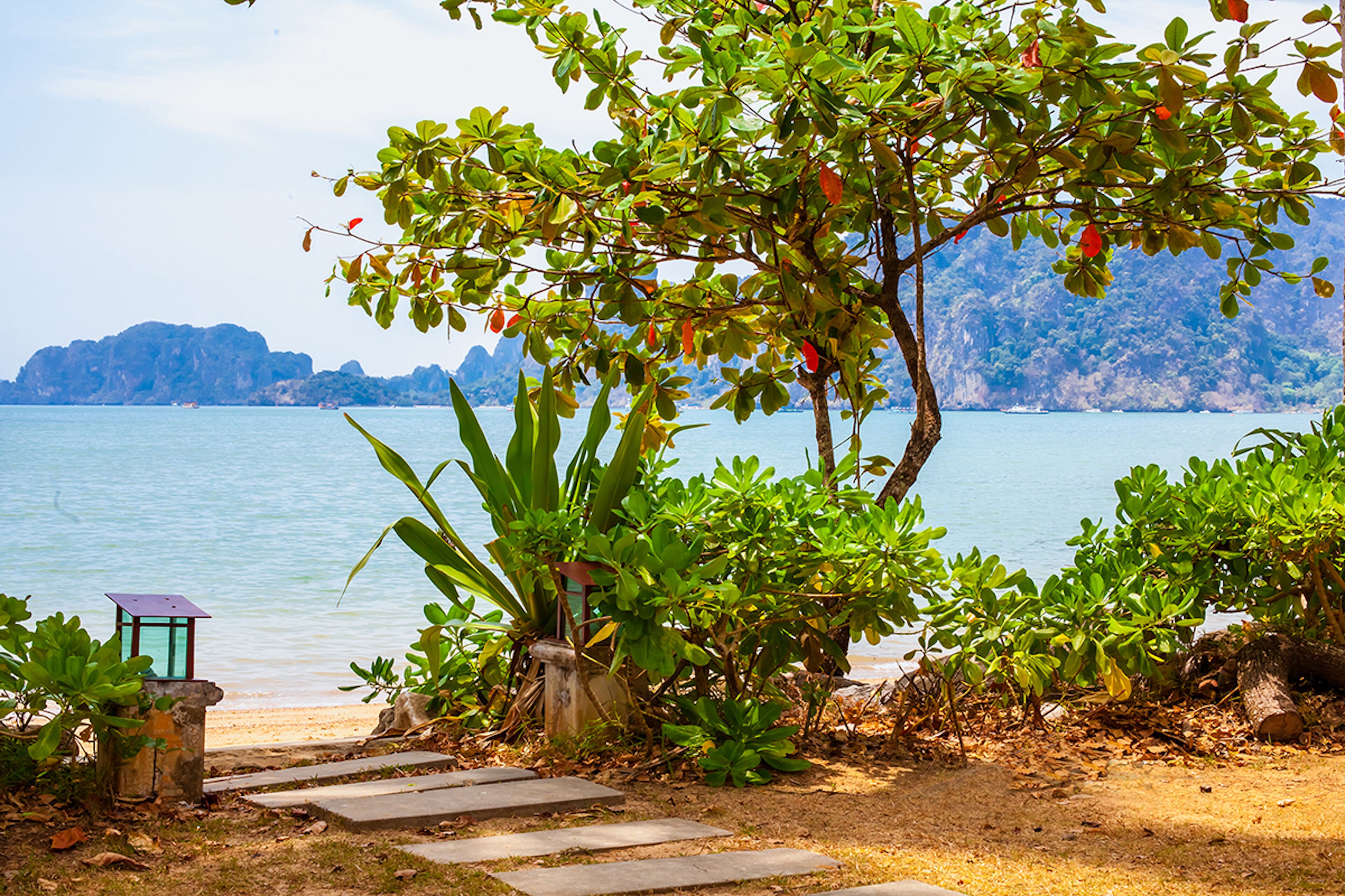 Ubicación a pie de playa y toallas de playa