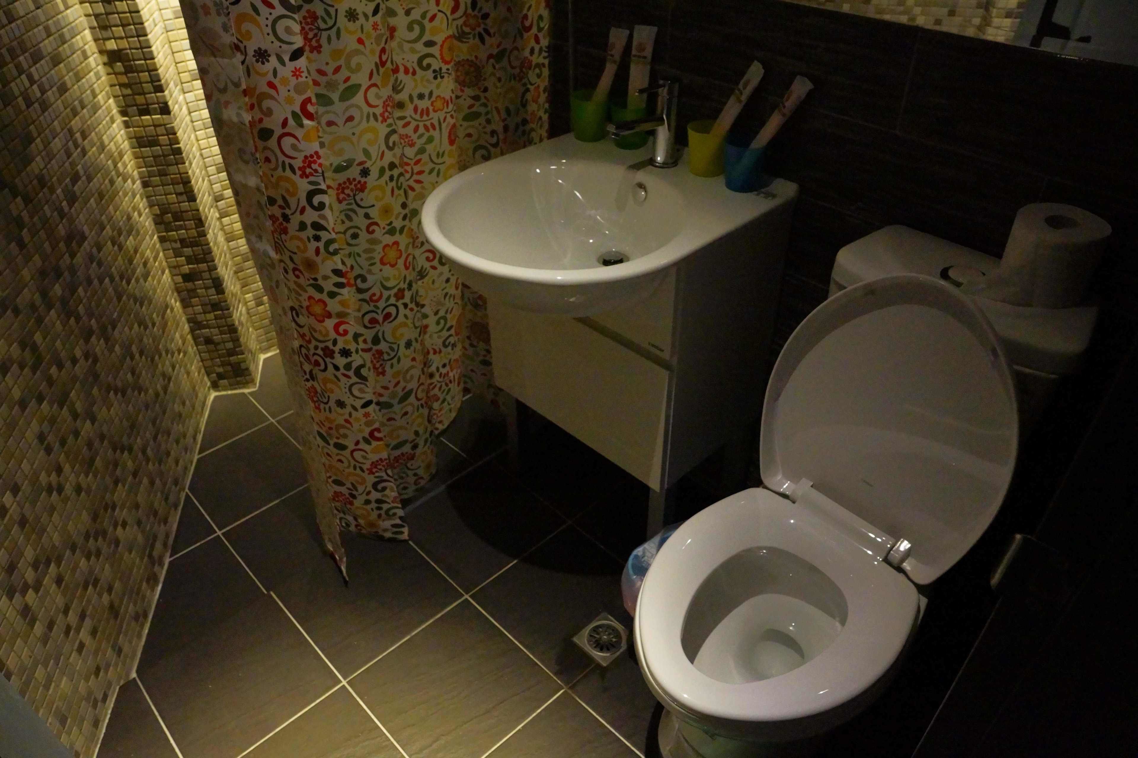 Une salle de bain équipée de toilettes, d’un lavabo et d’un rideau de douche à motifs.
