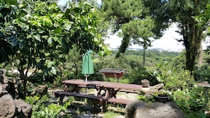 Kawasan BBQ/berkelah