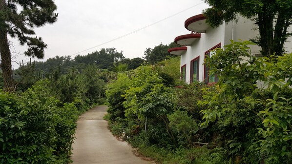 Un étroit sentier bordé d’une végétation luxuriante et un bâtiment aux fenêtres à cadre rouge.