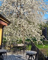 标准单人房 | 客房景观