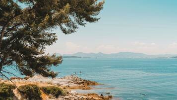 A coastal landscape with rocky terrain, a large tree, and a calm sea with distant mountains.