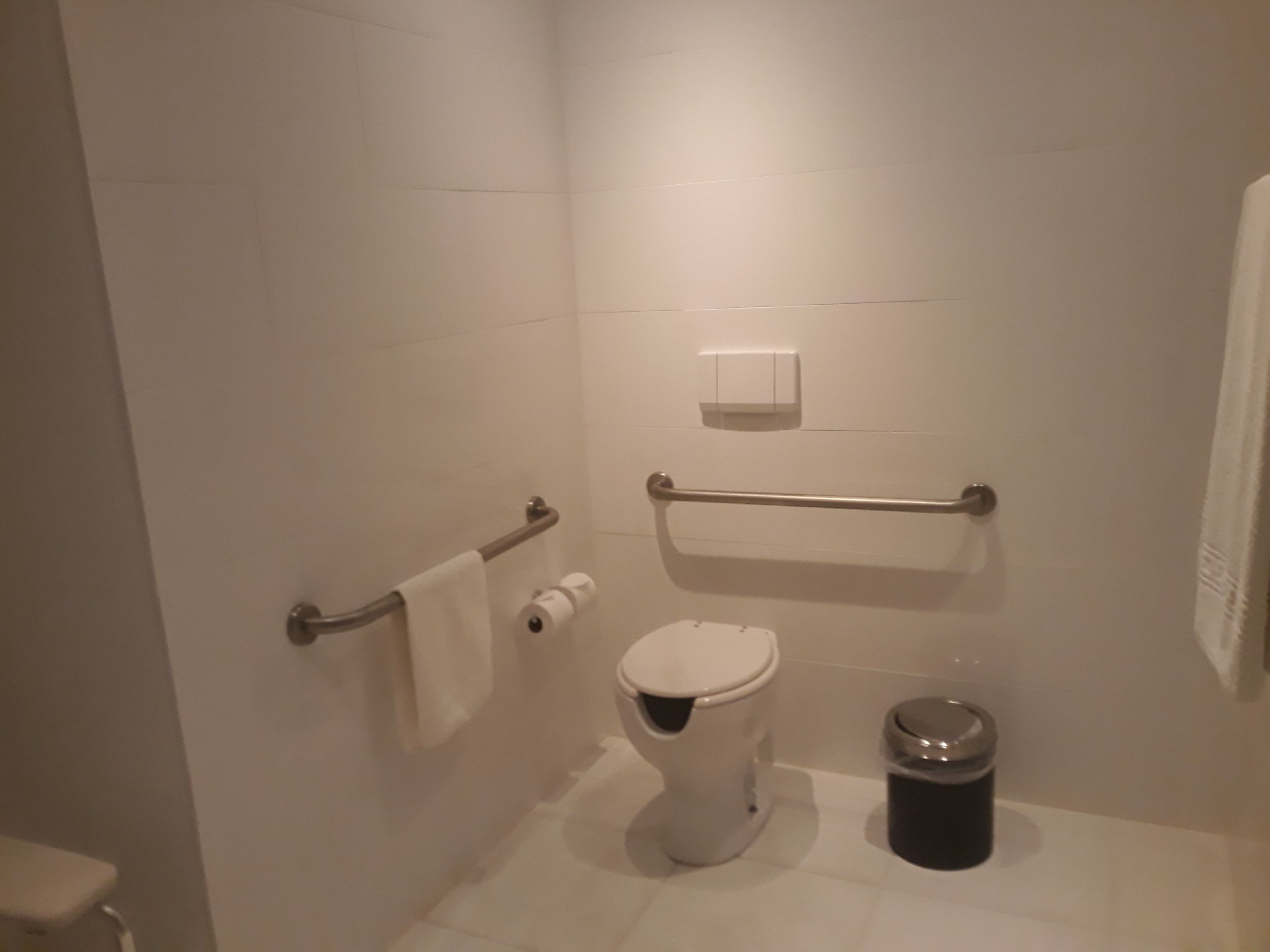A bathroom with a toilet, a handrail, a towel rack, and a trash can.