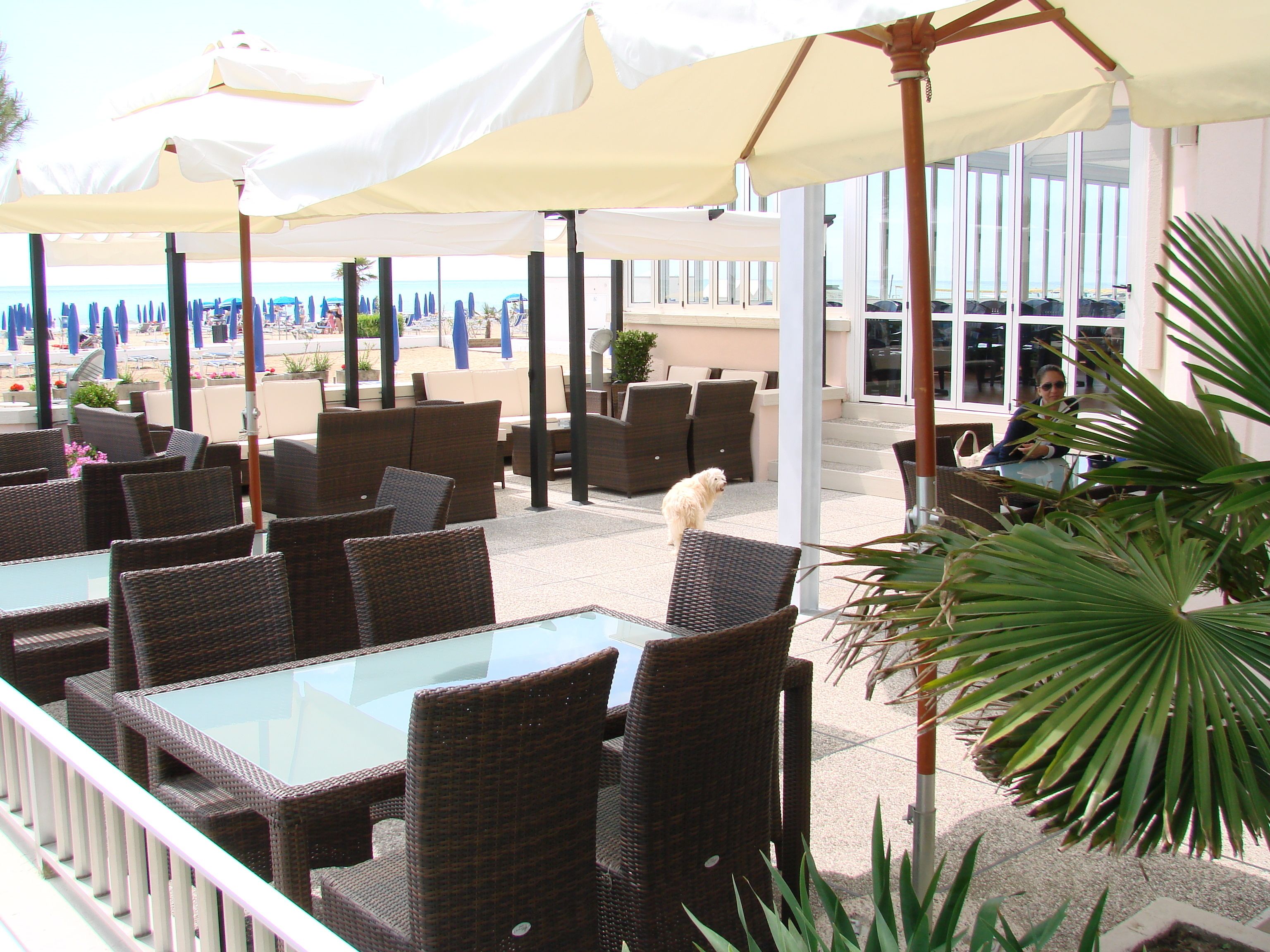 Cucina internazionale