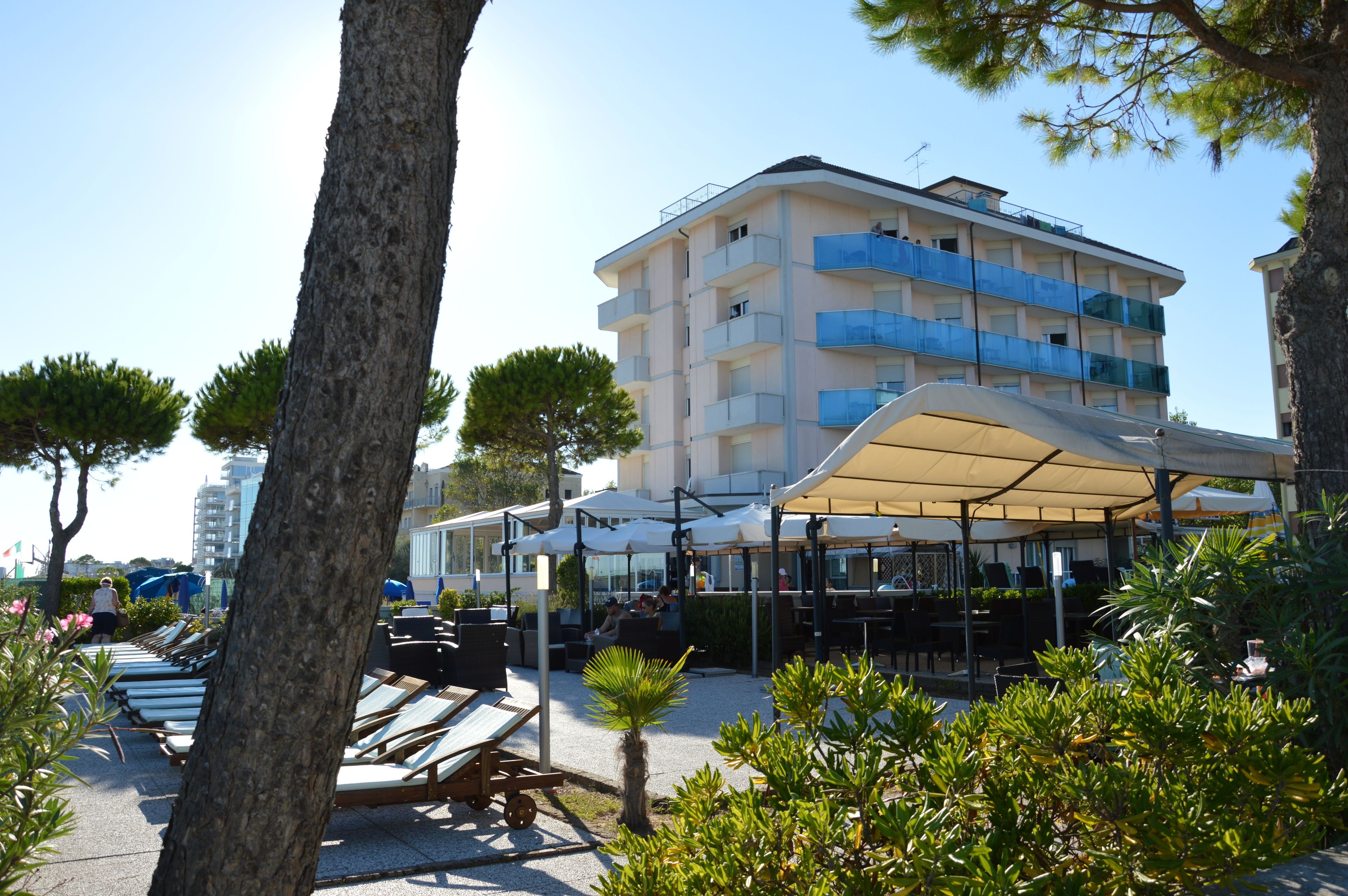 international cuisine