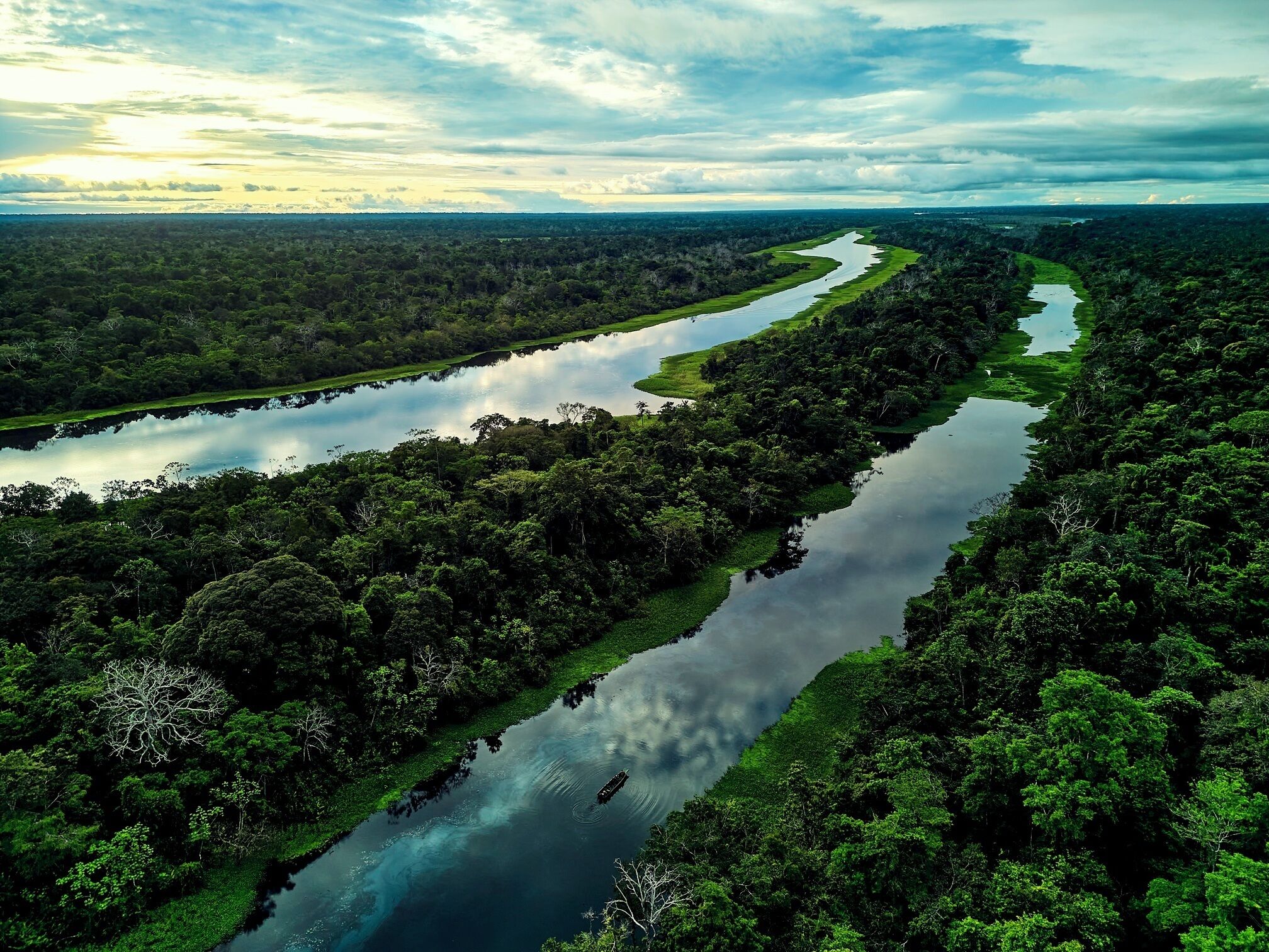 A river winding through a dense forest with a clear sky above.