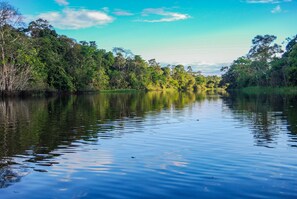 Quang cảnh mặt nước