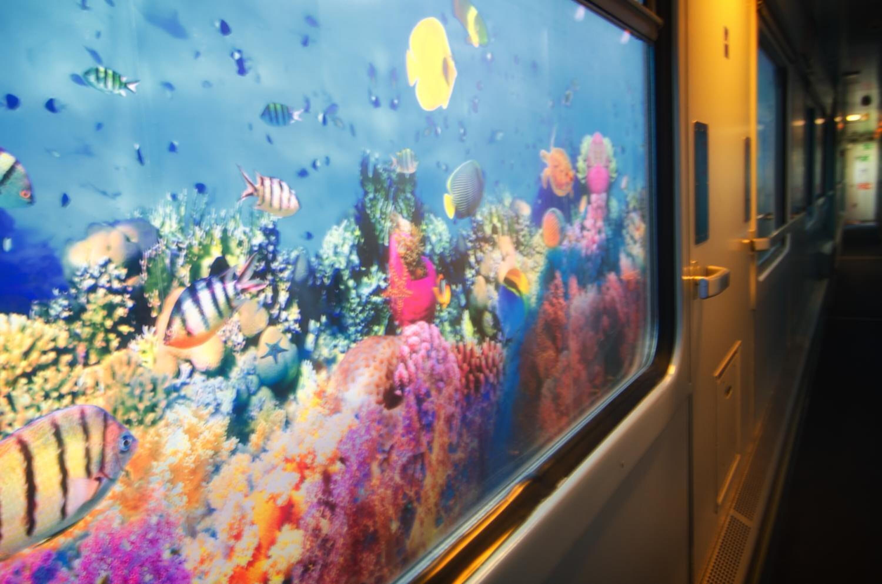 Photo - BaseCamp Bonn