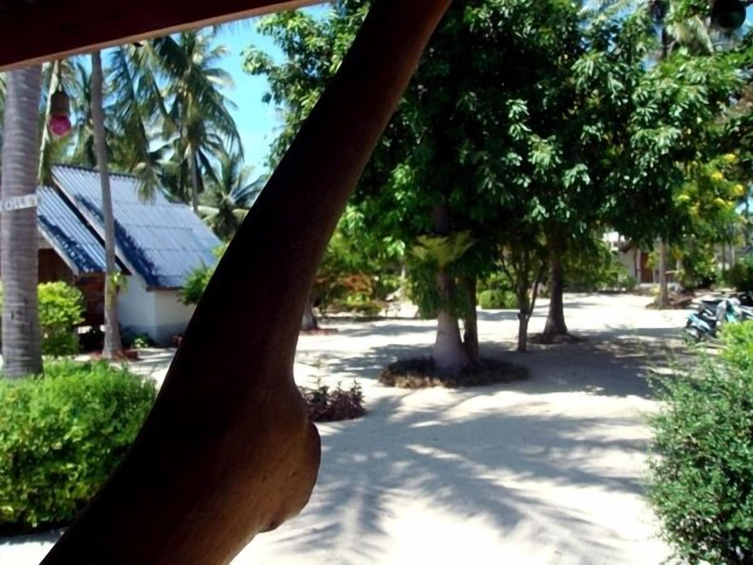 on the beach, beach bar, kayaking