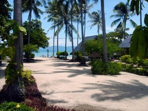 Property grounds - Coco Garden Resort (Ko Pha-ngan)
