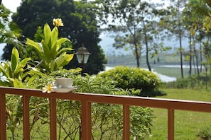 Vista desde la habitación