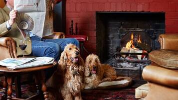 Une pièce chaleureuse avec une cheminée, des meubles en cuir et deux chiens.