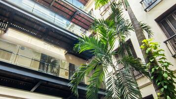 A courtyard with a palm tree, a table with chairs, and a building with balconies and windows.