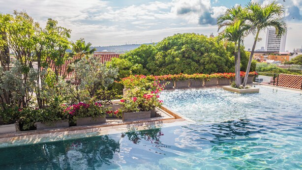 Une piscine à l’eau claire, entourée d’une végétation luxuriante et de plantes en fleurs.
